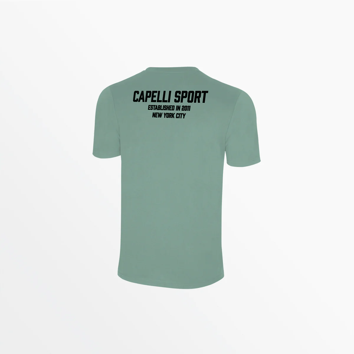 ADULT UNISEX CS ESTABLISHED TEE - Image 3
