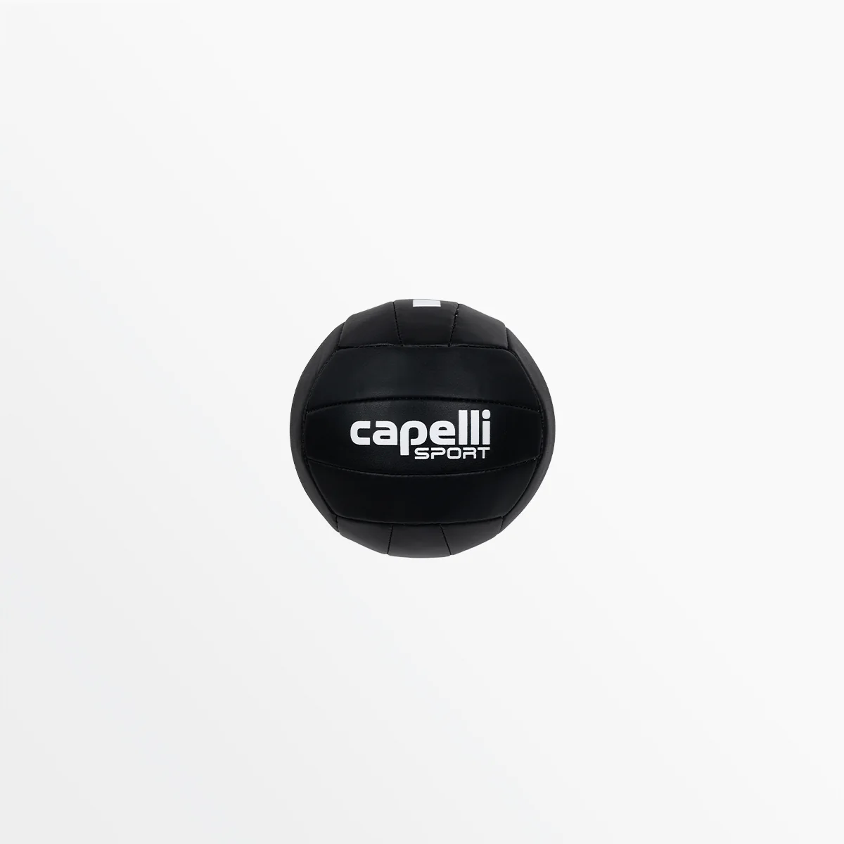 CS MINI VOLLEYBALL
