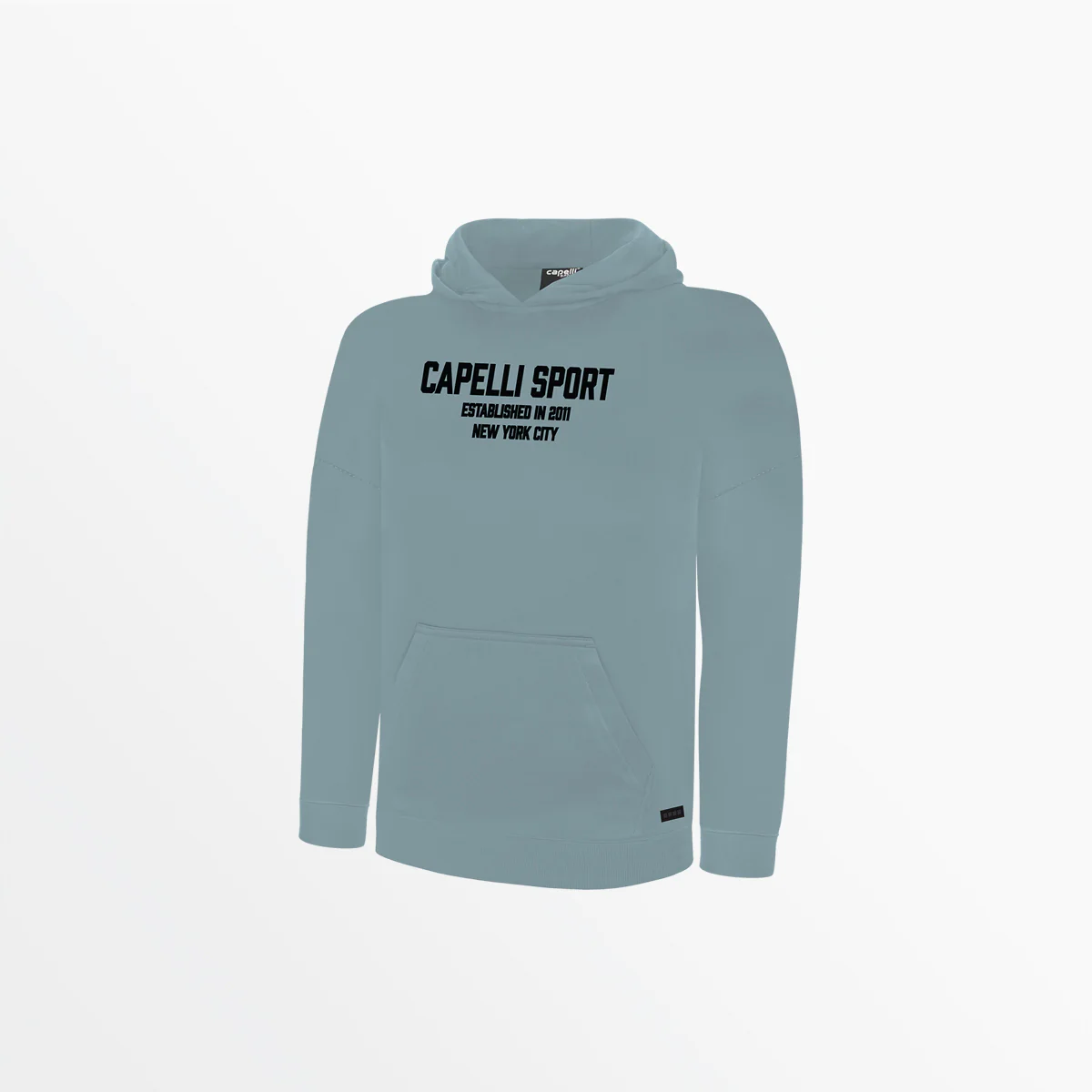 YOUTH CS ESTABLISHED PULLOVER HOODIE - Image 4